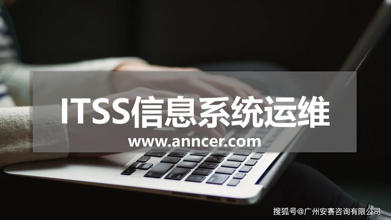 小标题：企业IT外包的必要性